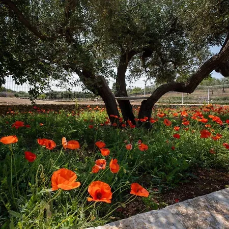 Valle D'itria Trulli E Alcova Mikael * 치스테르니노