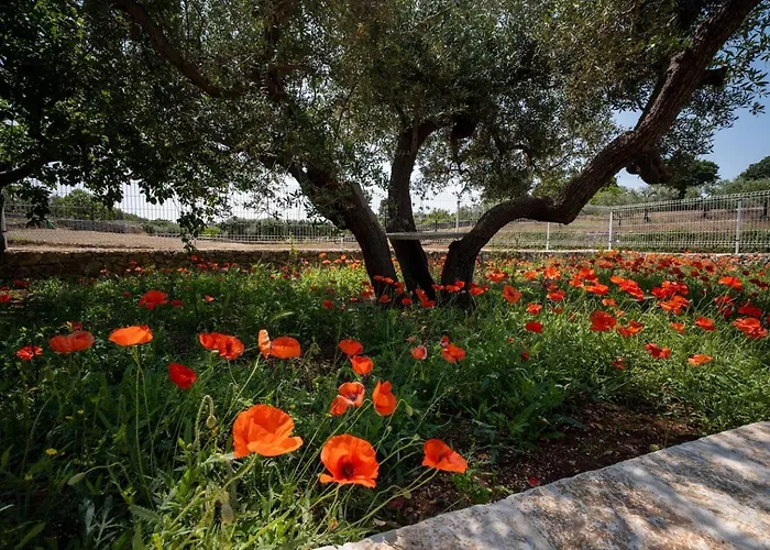 Valle D'itria Trulli E Alcova Mikael * Cisternino